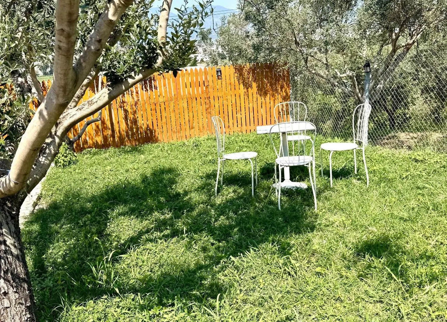 Escape To Nature Calm Intirana 0*, Tirana Albanië